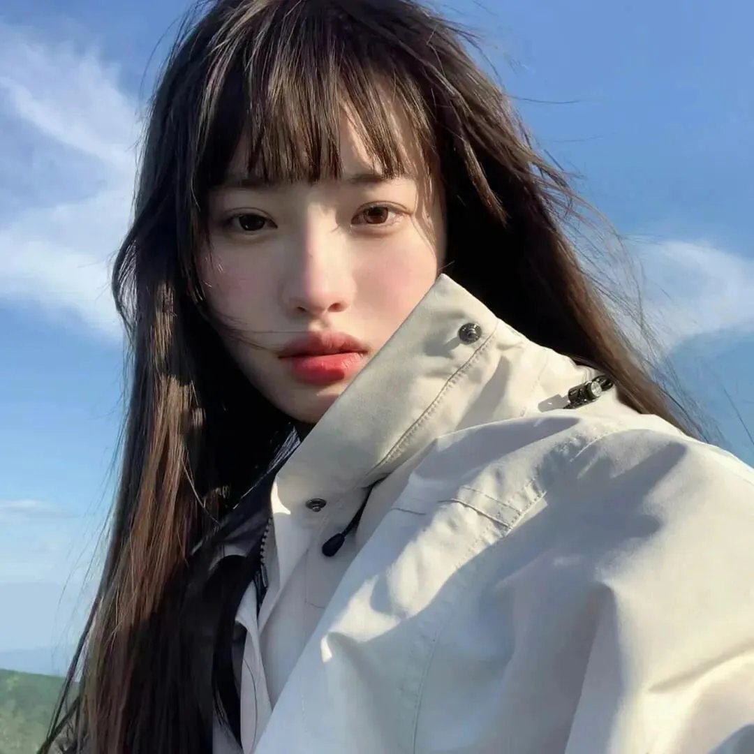 黑狐之风影